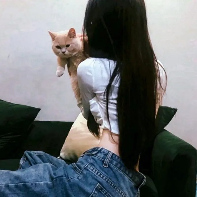 报告典狱长