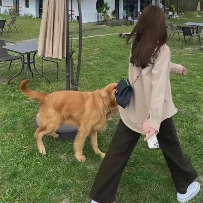 穿越战火的人