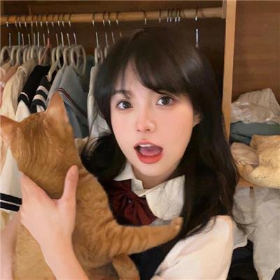 新野人记